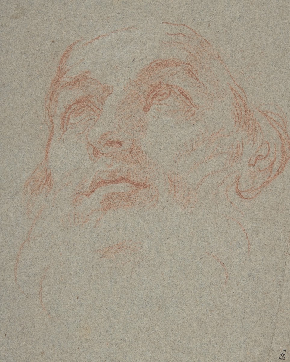 Head of a Bearded Man Looking to Upper Left Saint Ambrose 16251713