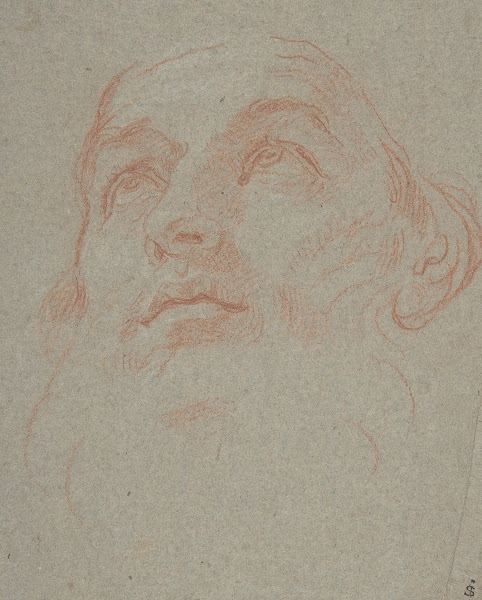 Head of a Bearded Man Looking to Upper Left Saint Ambrose 16251713