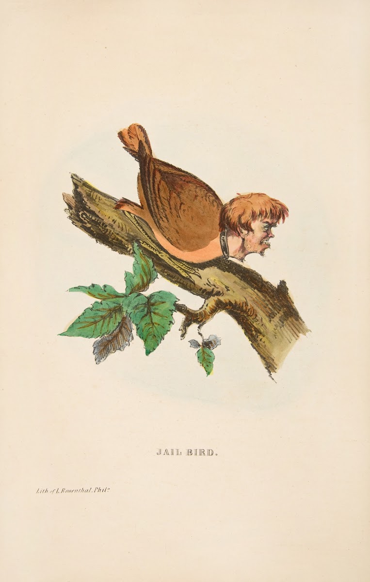 Jail Bird 1851
