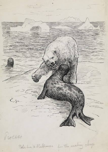 Polar bear attacking a seal 1882
