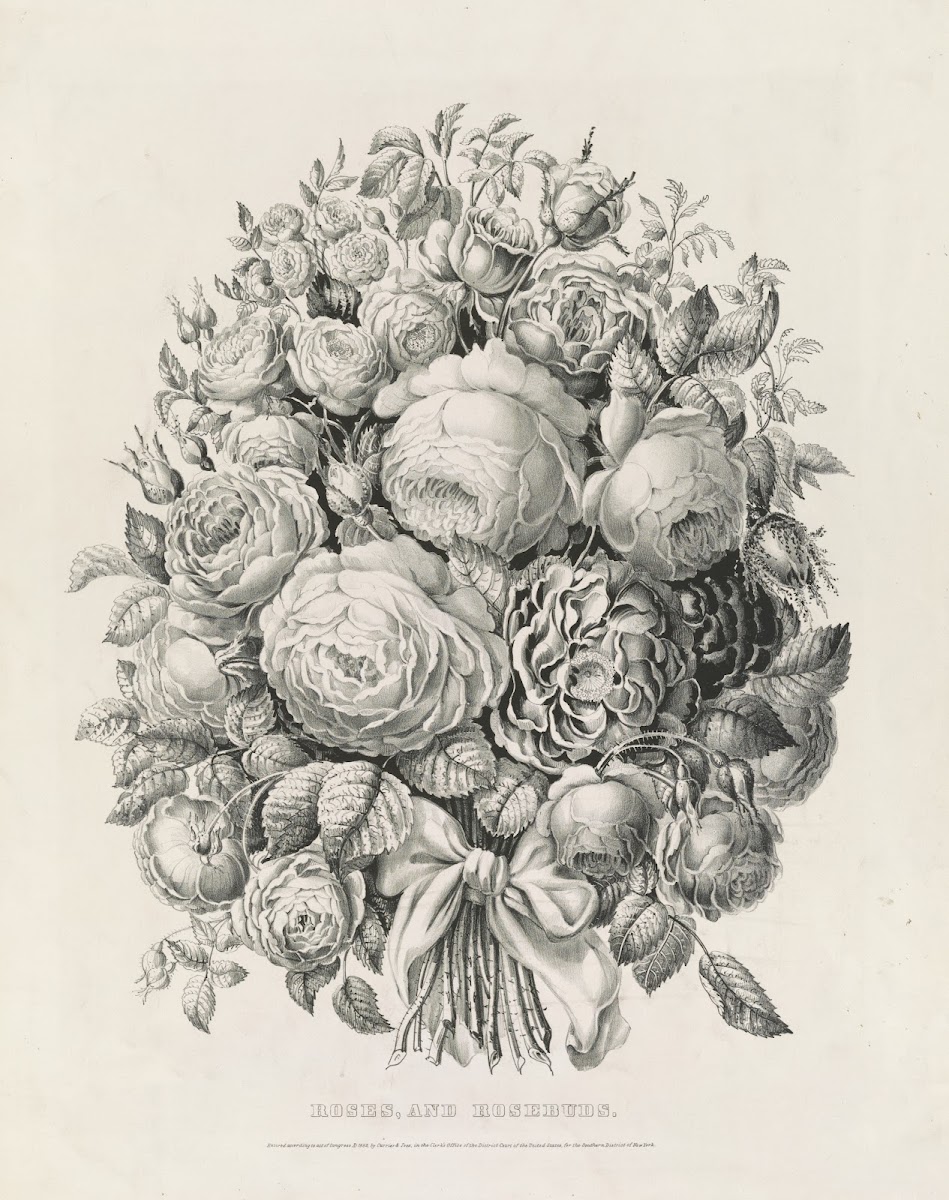 Roses and rosebuds 1862