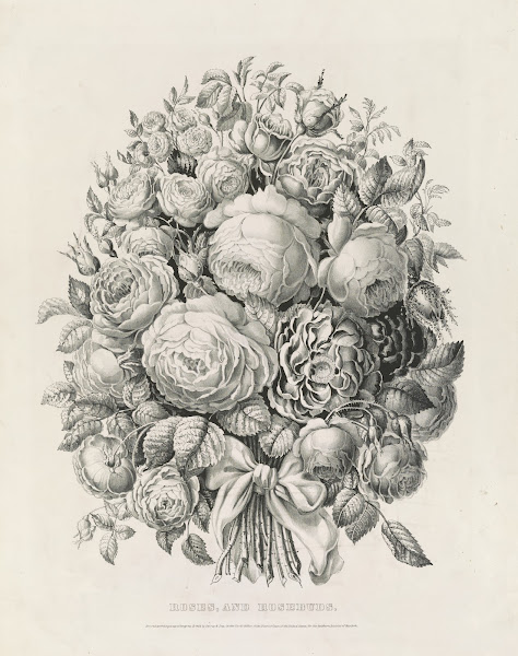 Roses and rosebuds 1862
