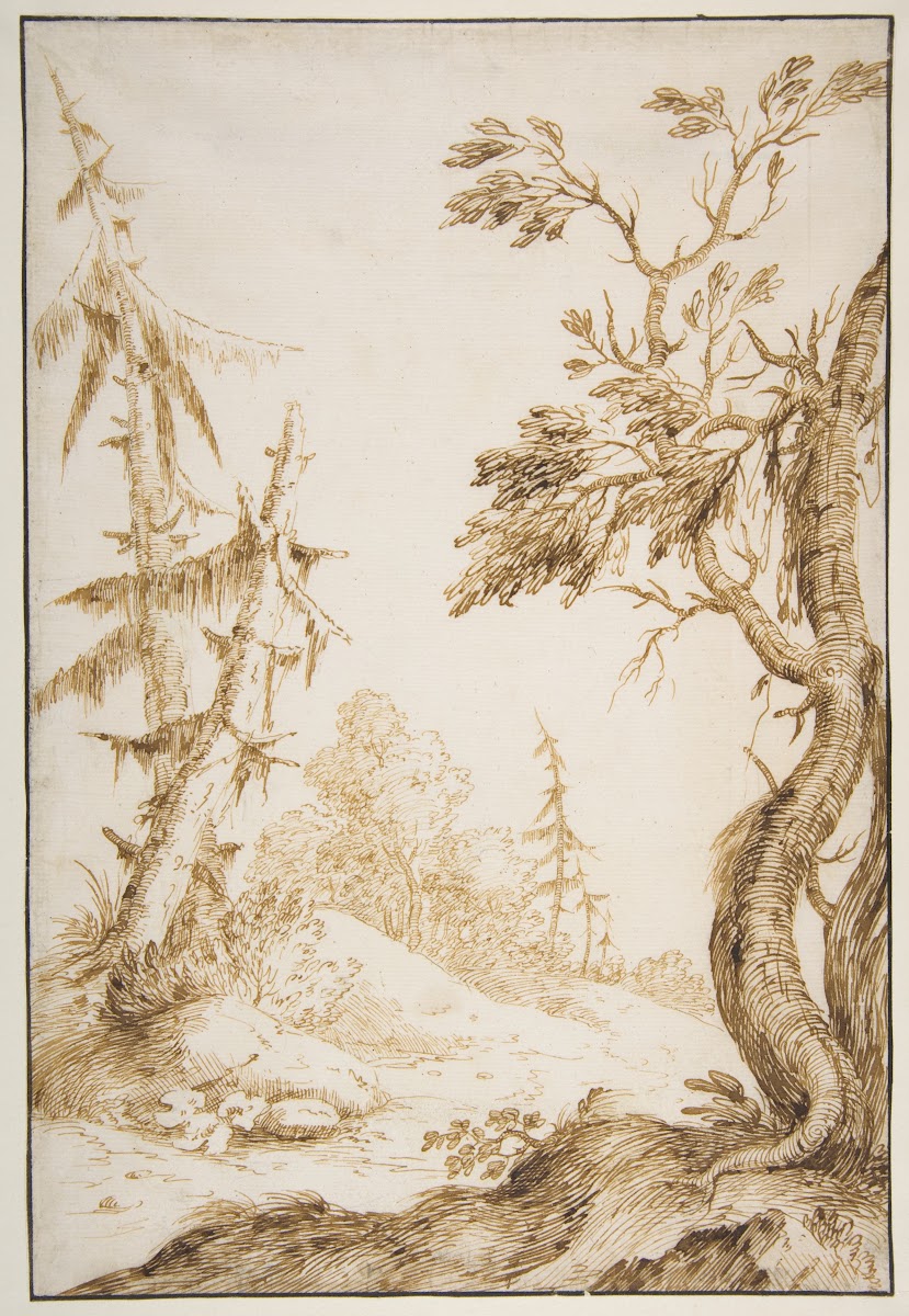 Clearing in a Wooded Landscape 16761730