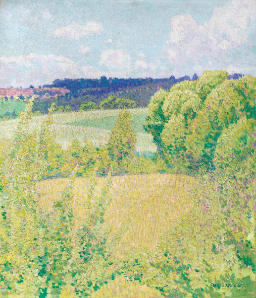 Sommerlandschaft