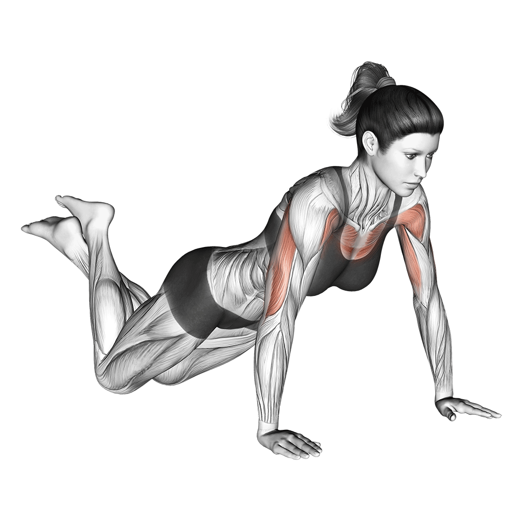 Knee Push-Up