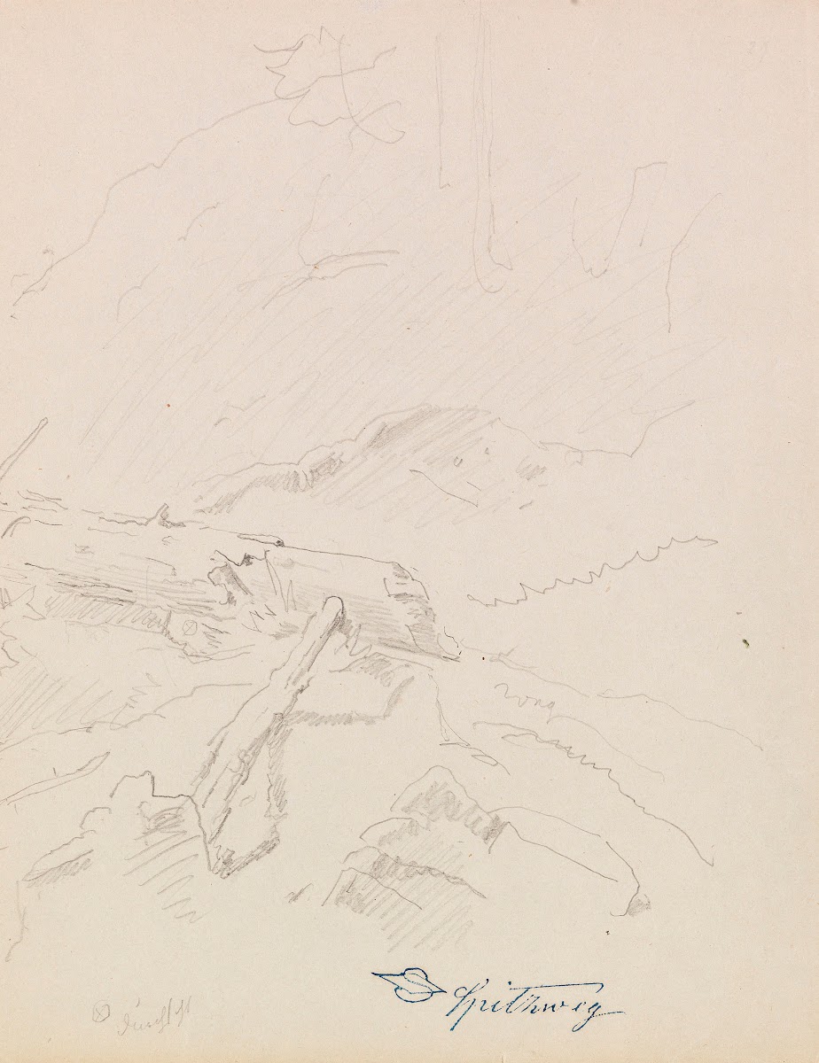 Gestürzte Wetterfichte Ca 1850 1860