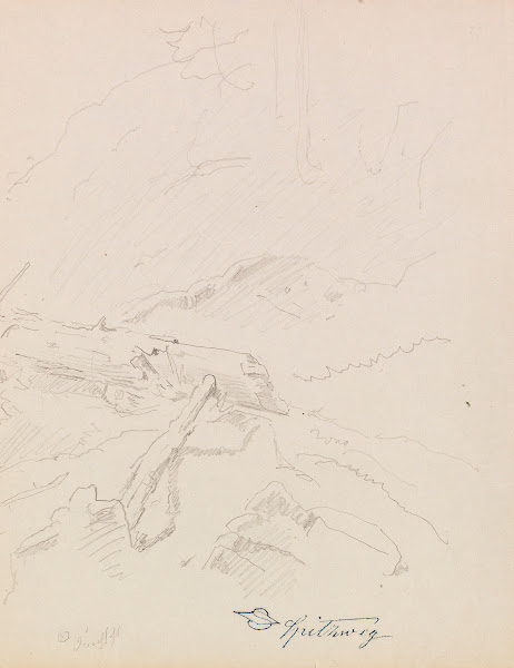 Gestürzte Wetterfichte Ca 1850 1860
