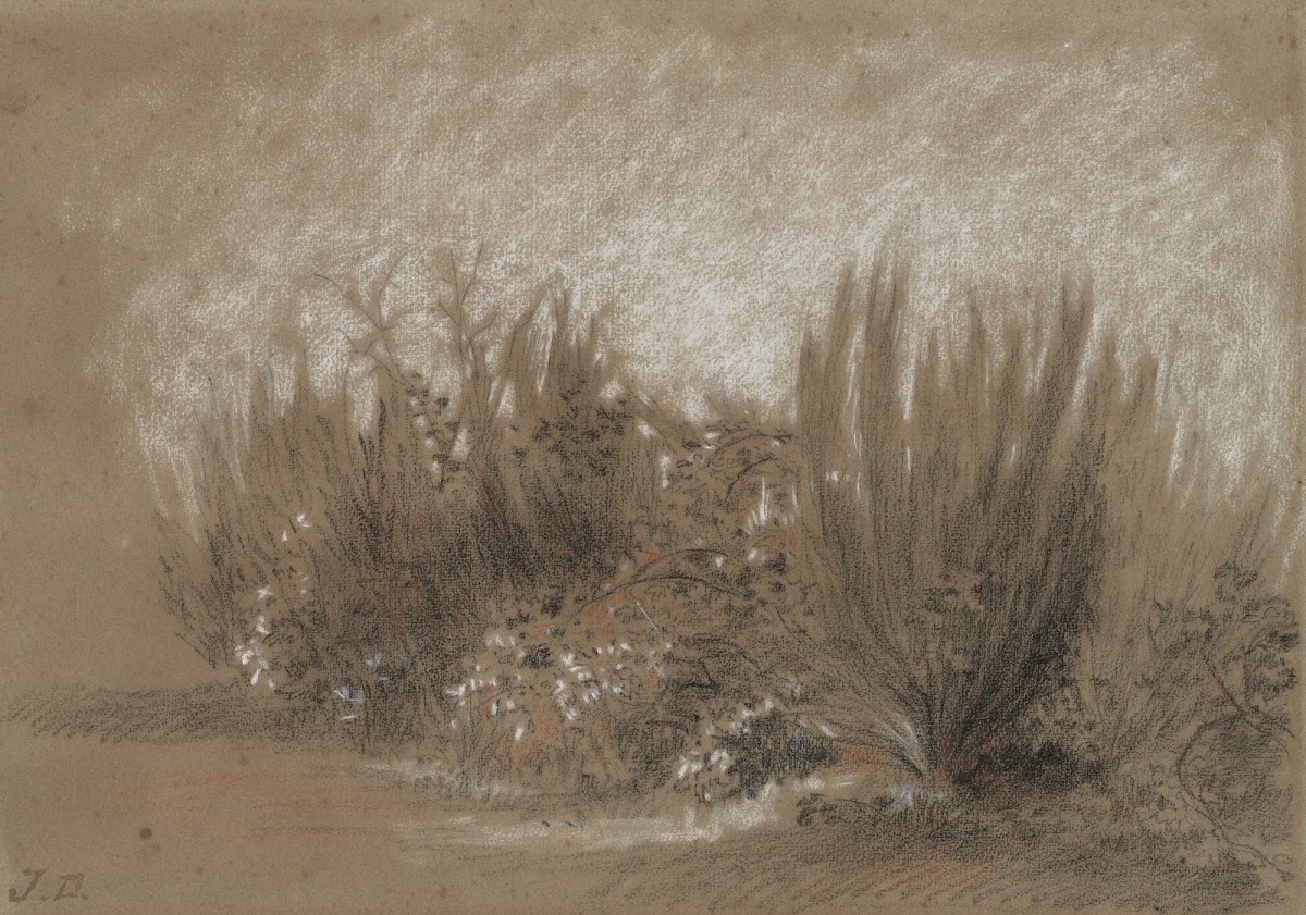 Genets et Ronces Broom and Brambles 1860s