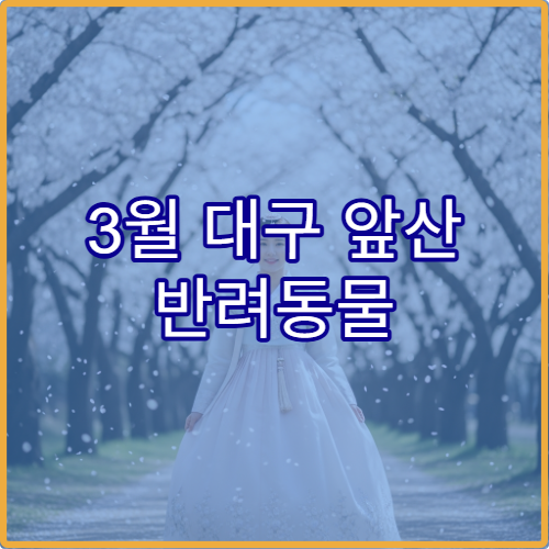 3월 대구 앞산 반려동물 산책 허용 구역과 안전 주의사항 상세 가이드