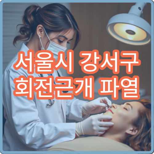 서울시 강서구 회전근개 파열 비수술 치료 재활 전문 정형외과 병원