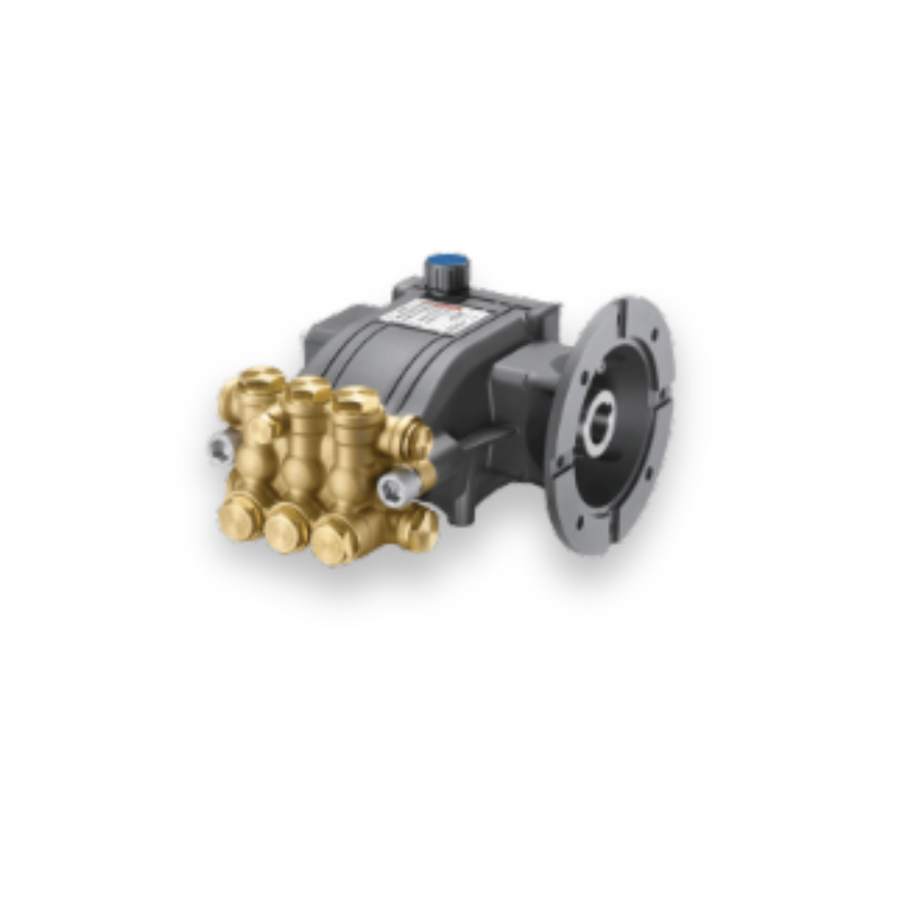 Pumps with electric motor flange