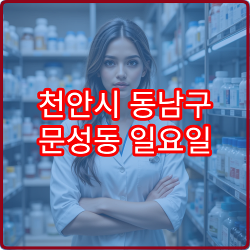 천안시 동남구 문성동 일요일 문 여는 당직 약국 위치 안내