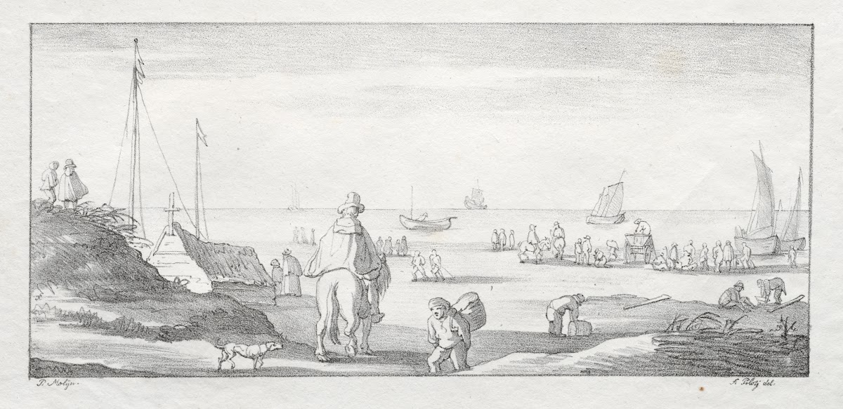 Along a Dutch Shore 18111816