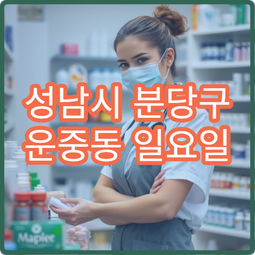 성남시 분당구 운중동 일요일 당번약국 판교 외곽 주거지