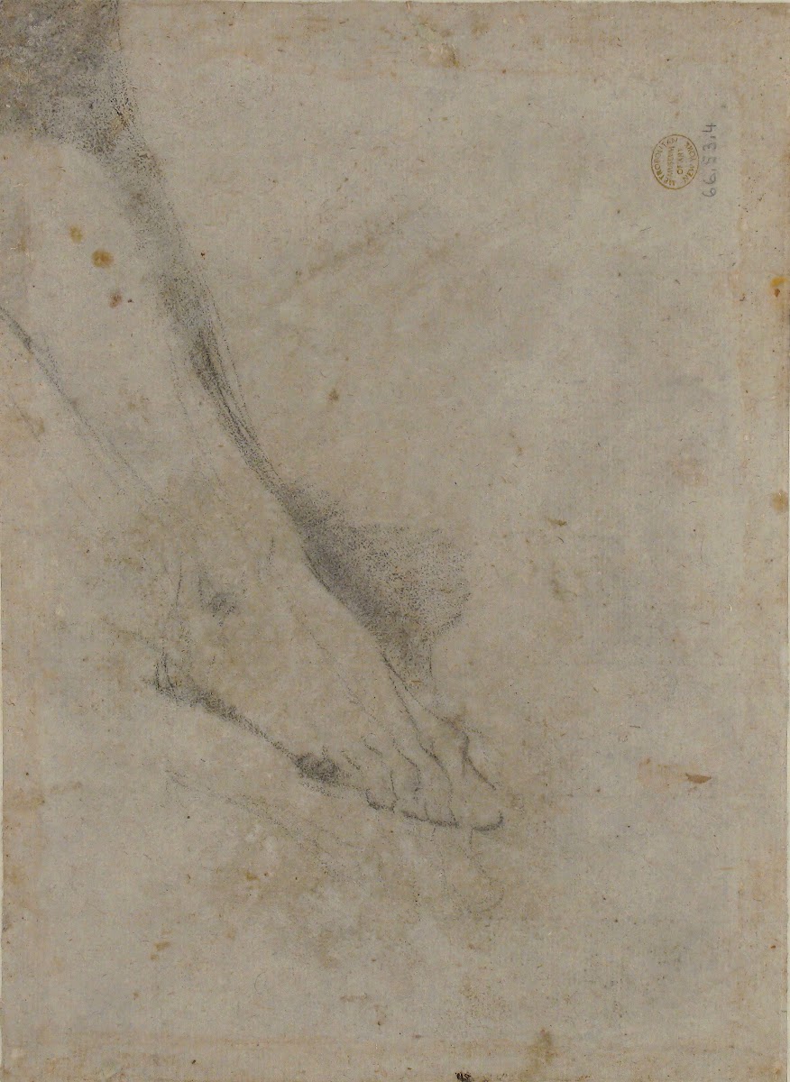 Study of Lower Leg and Right Foot 16821754