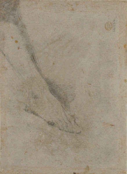 Study of Lower Leg and Right Foot 16821754
