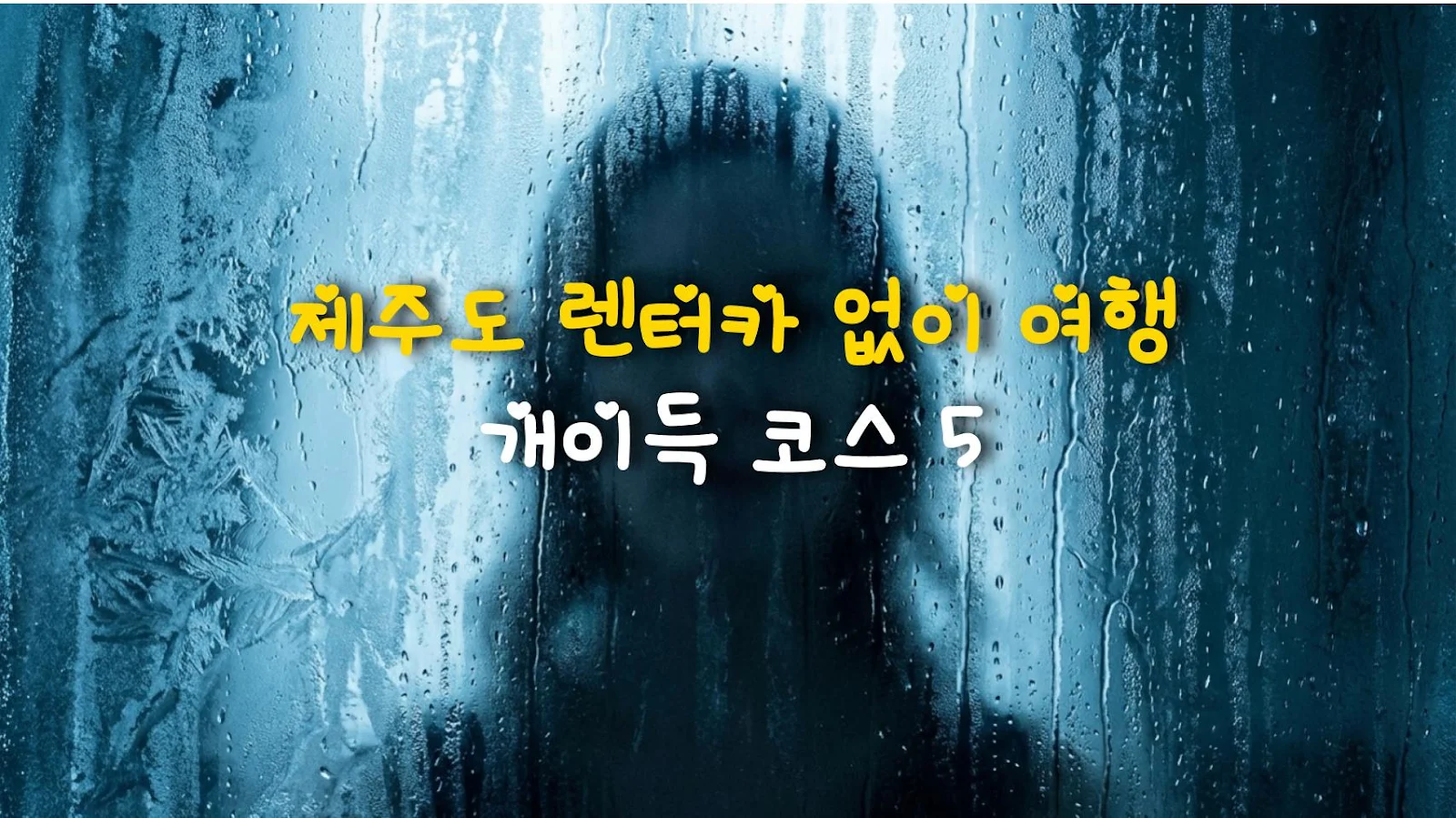제주도 렌터카 없이 여행 개이득 코스 5