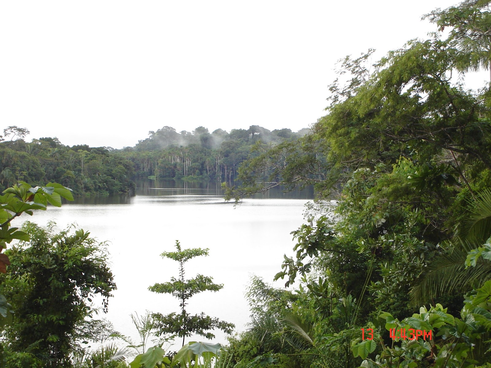 Naturaleza peruana