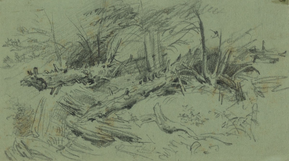 Landscape with fallen trees and rocks 1860 1865