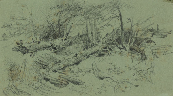 Landscape with fallen trees and rocks 1860 1865