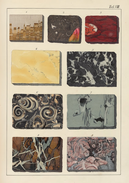 Plate VIII Marbles 1859