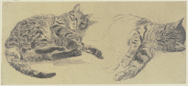 Studies of cats 1856