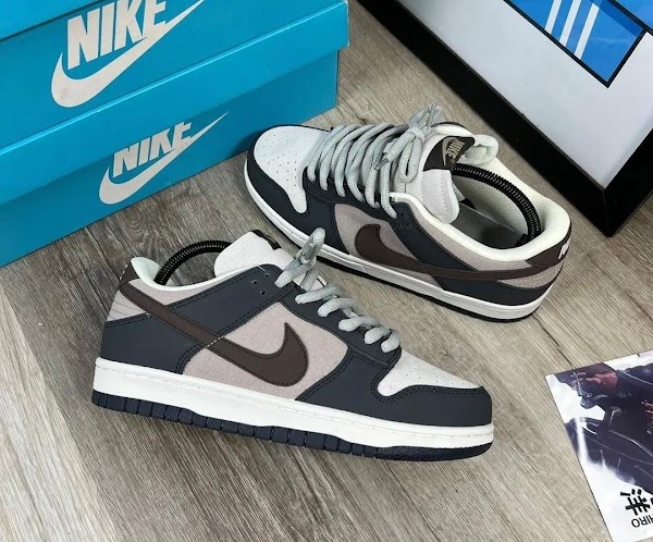 Nike Dunk Low Gris Café