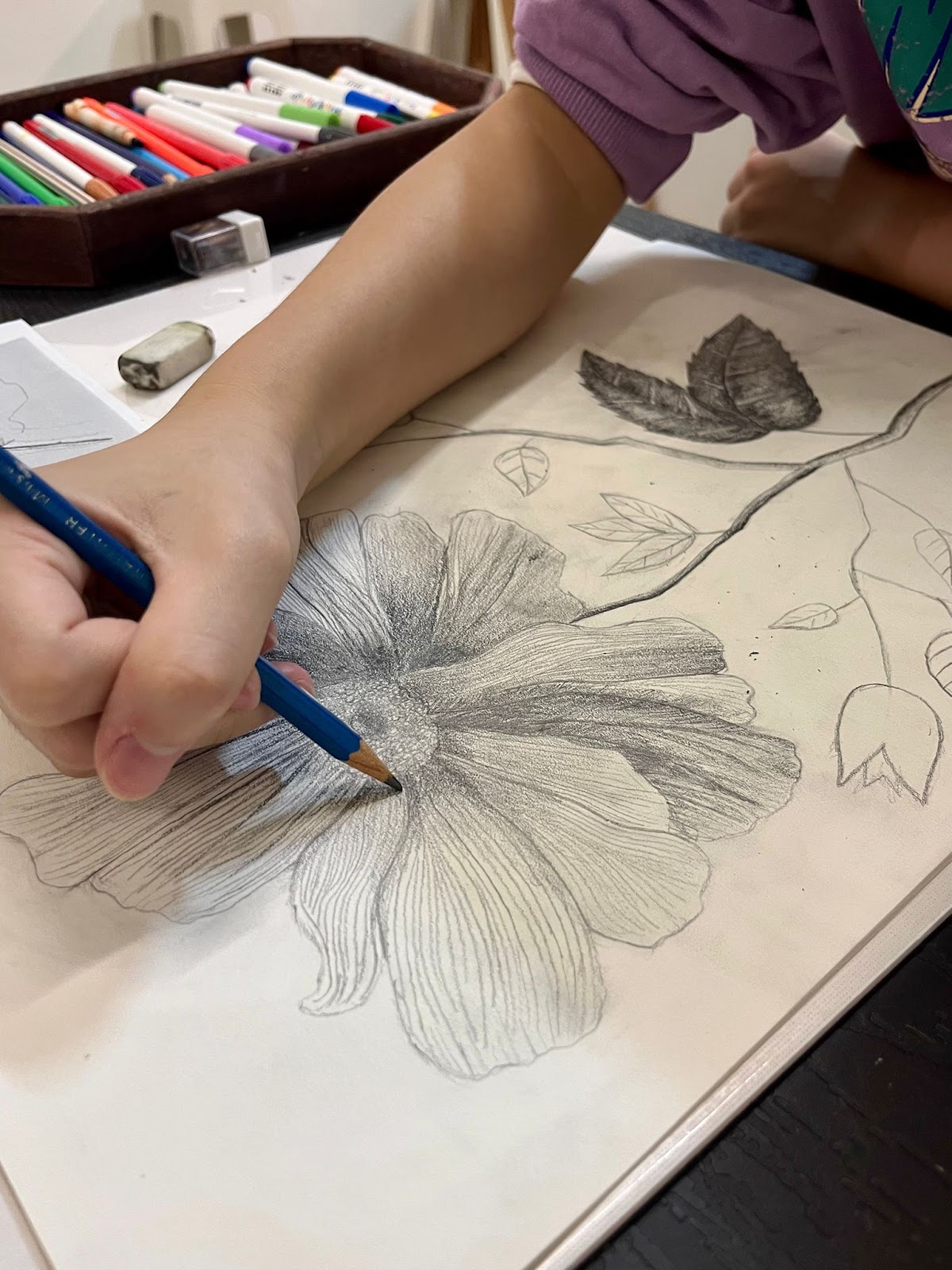 鉛筆畫：古典花卉插畫