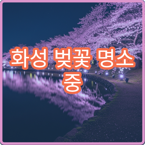 화성 벚꽃 명소 중 덜 붐비는 곳 어디? 숨은 스팟 3곳 공개