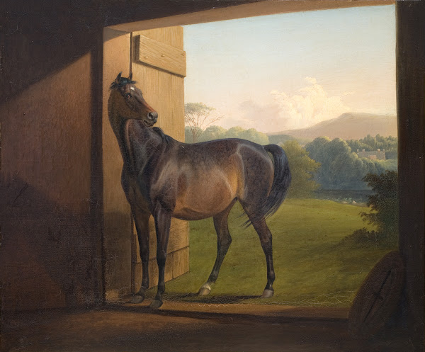 Reveller Mare 1833   1872