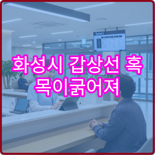 화성시 갑상선 혹 목이굵어져 내분비내과 초음파검사 병원