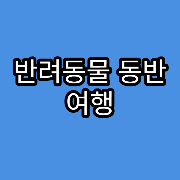 반려동물 동반 여행 코스 알아보기
