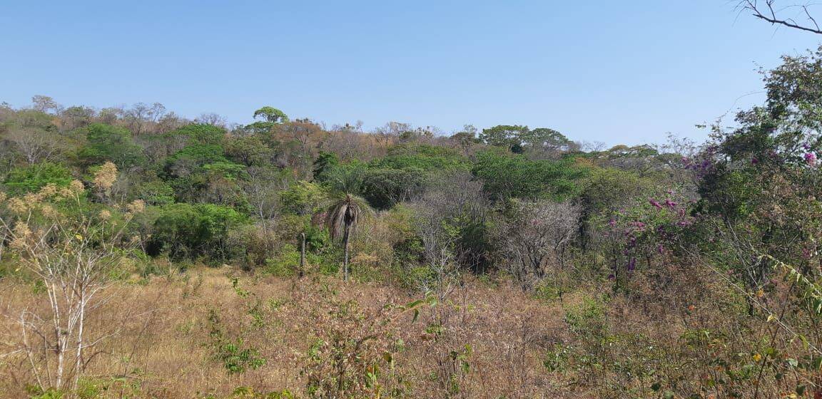 Fazenda em Paranã-TO 3