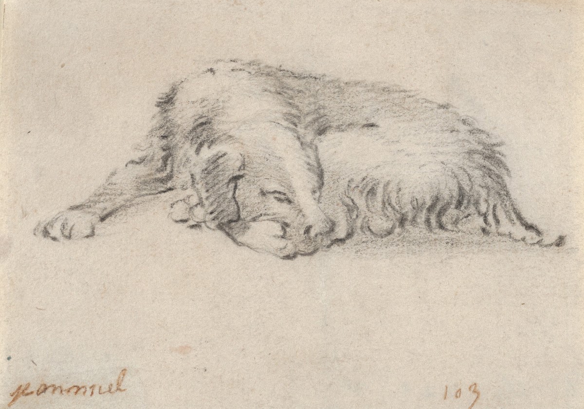 Study of a Sleeping Dog mid 17th century