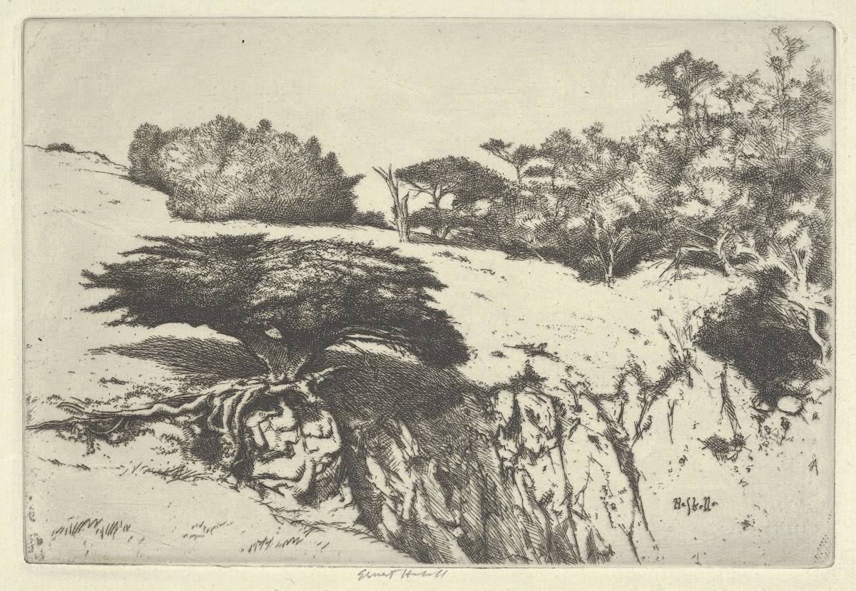 Fan Tree and Her Canyon 1915 1925