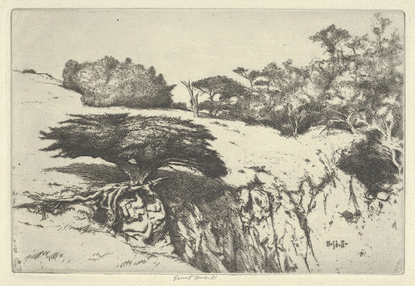Fan Tree and Her Canyon 1915 1925