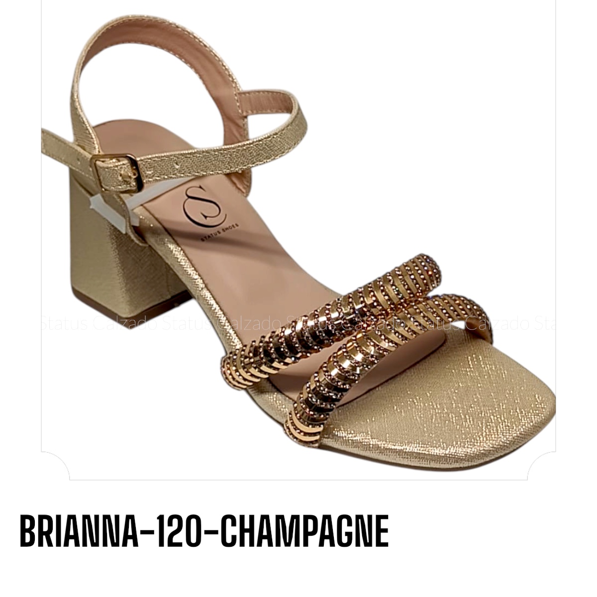 BRIANNA-120-CHAMPAGNE