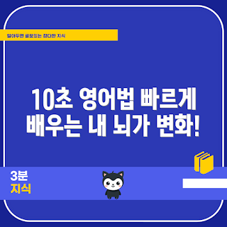 뇌새김영어가격, 초단기 영어 공부, 21세기북스 추천, 효과적인 학습법, 영어 뇌 만들기