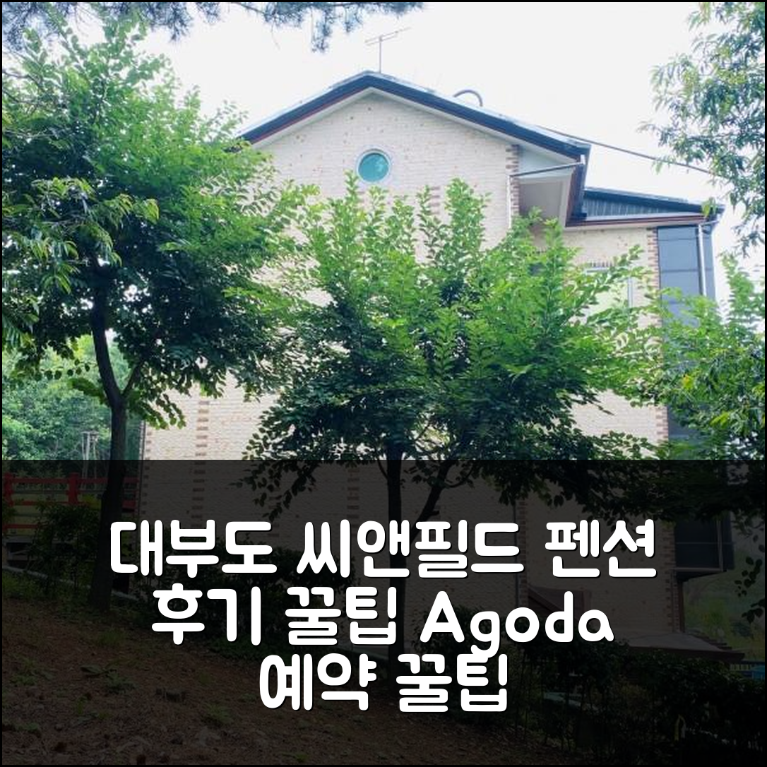 대부도 씨앤필드펜션: 안산 숙소 예약 후기 & 꿀팁 - 아고다 호텔 추천