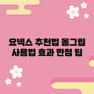 요넥스타올그립, 여름 사용법, 효과적인 꿀팁, 2023 추천, 핫 아이템