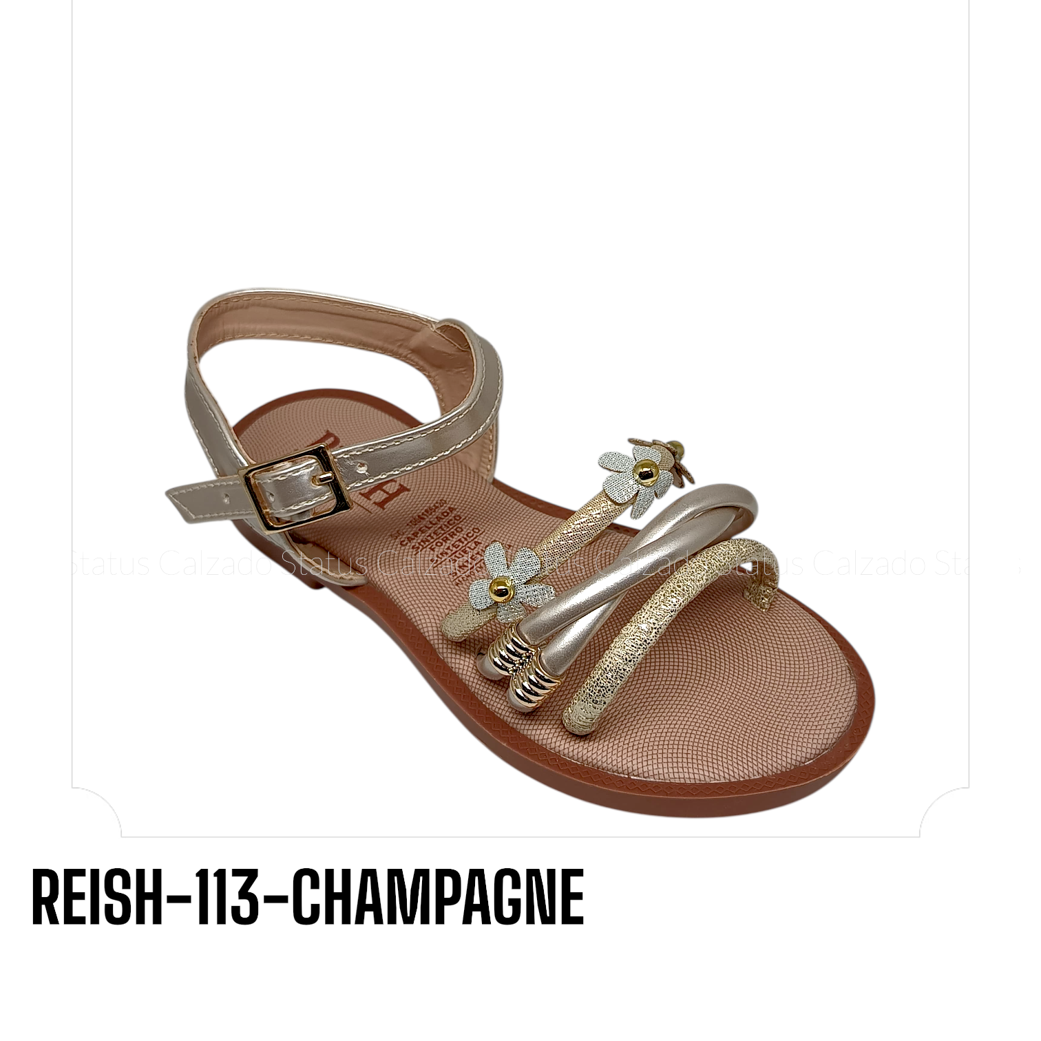 REISH-113-CHAMPAGNE