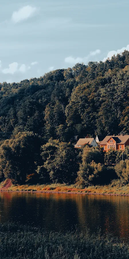 Riverfront, Real Estate, Forest, Houses 4K Phone Wallpaper