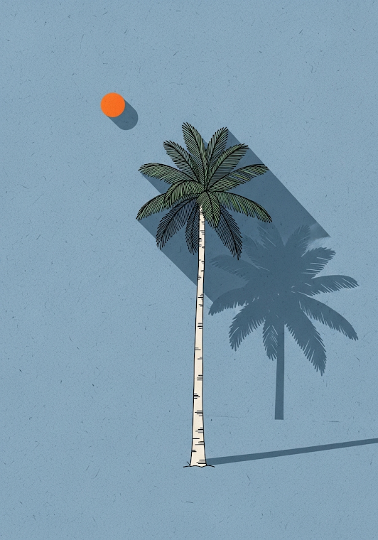 Minimalist Palm Tree Silhouette
