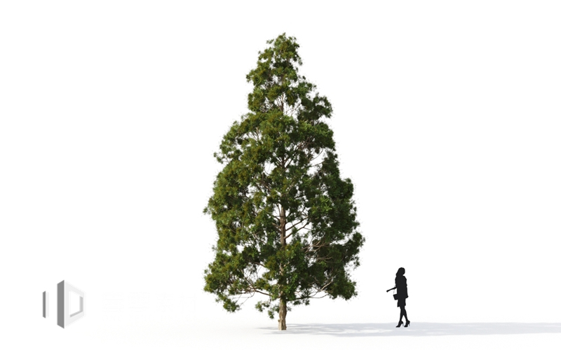 Maxtree - Plant Models Vol.9