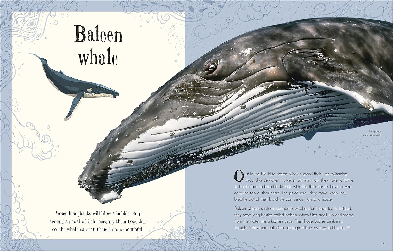 An Anthology of Intriguing Animals - thumbnail 2