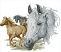 CMP TK3 Free Running Horses