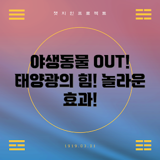 야생동물퇴치기태양광, 태양광 야생동물 퇴치, 야생동물 방지 기기, 자연 친화적 퇴치기, 야생동물 관리 솔루션