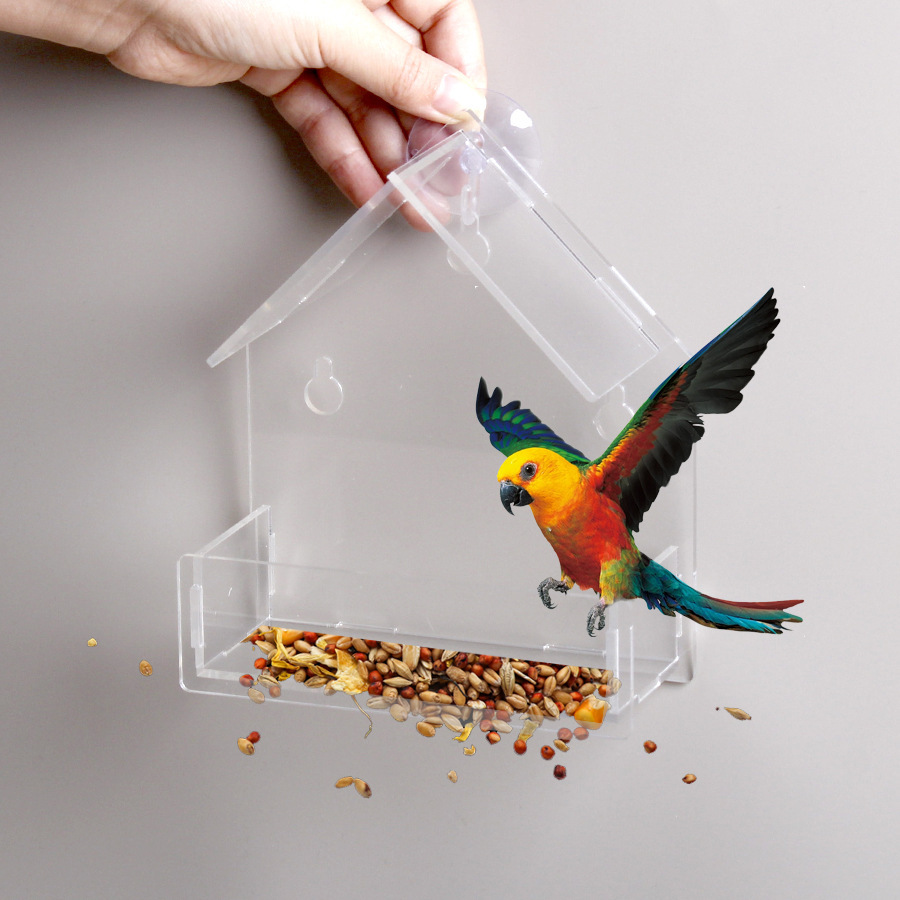 Transparenter Acryl-Vogel-Futterspender mit Saugnapf