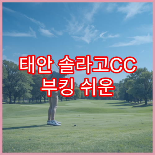 태안 솔라고CC 부킹 쉬운 시간대 + 가성비 라운딩 정보
