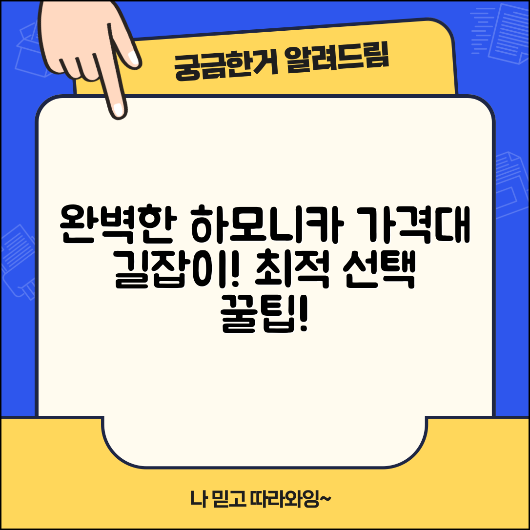 하모니카가격대 완벽 가이드: 최적의 선택법